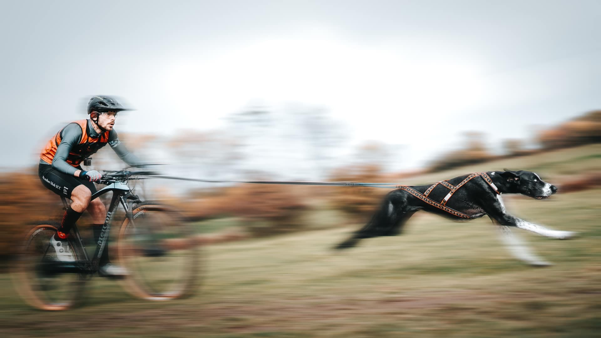 Mushing a běh v přírodě
